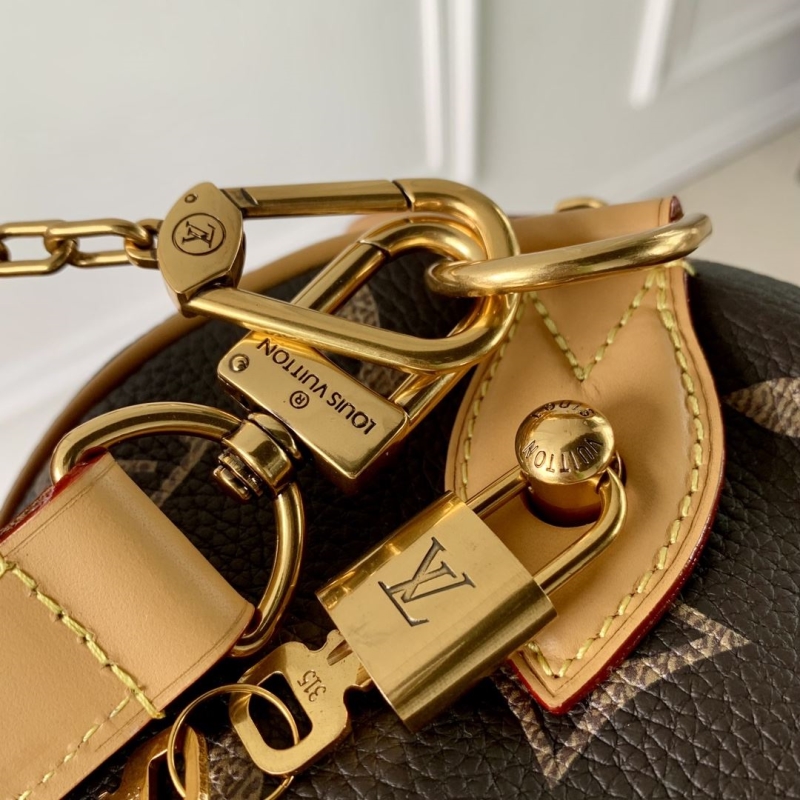 LV Travel Bags